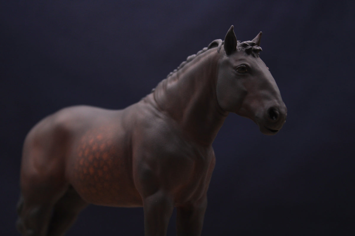 Bijou | Percheron Stute