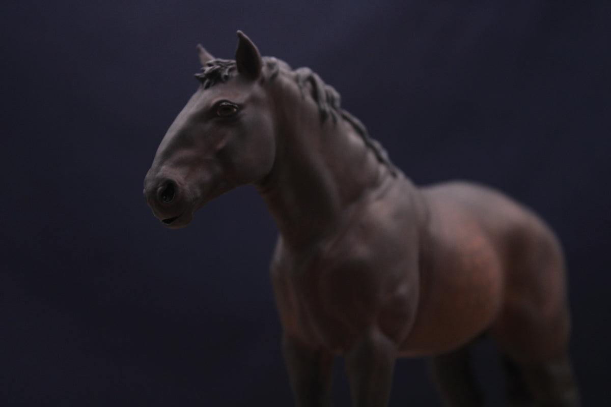 Bijou | Percheron Stute