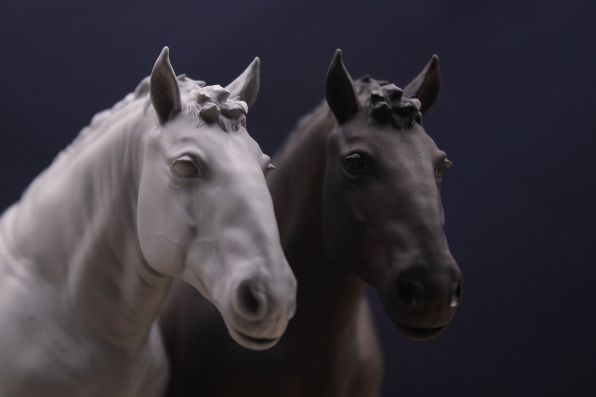 Bijou | Percheron Stute
