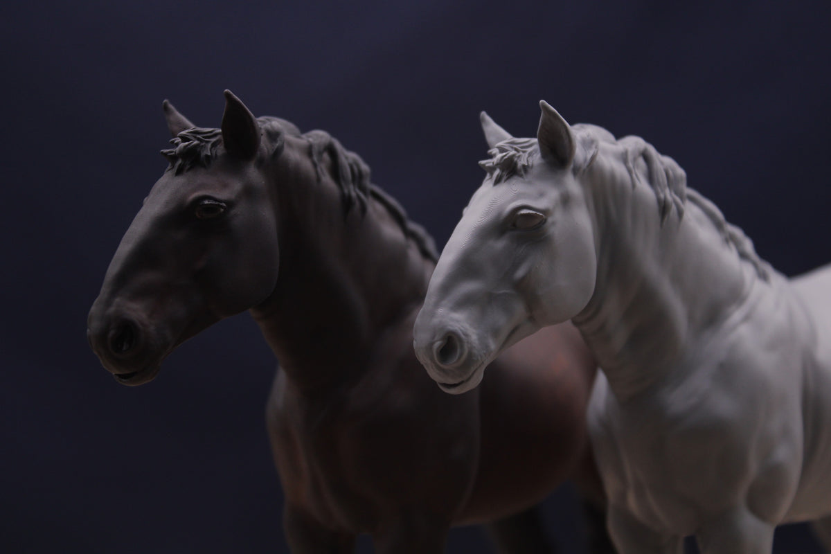 Bijou | Percheron Stute