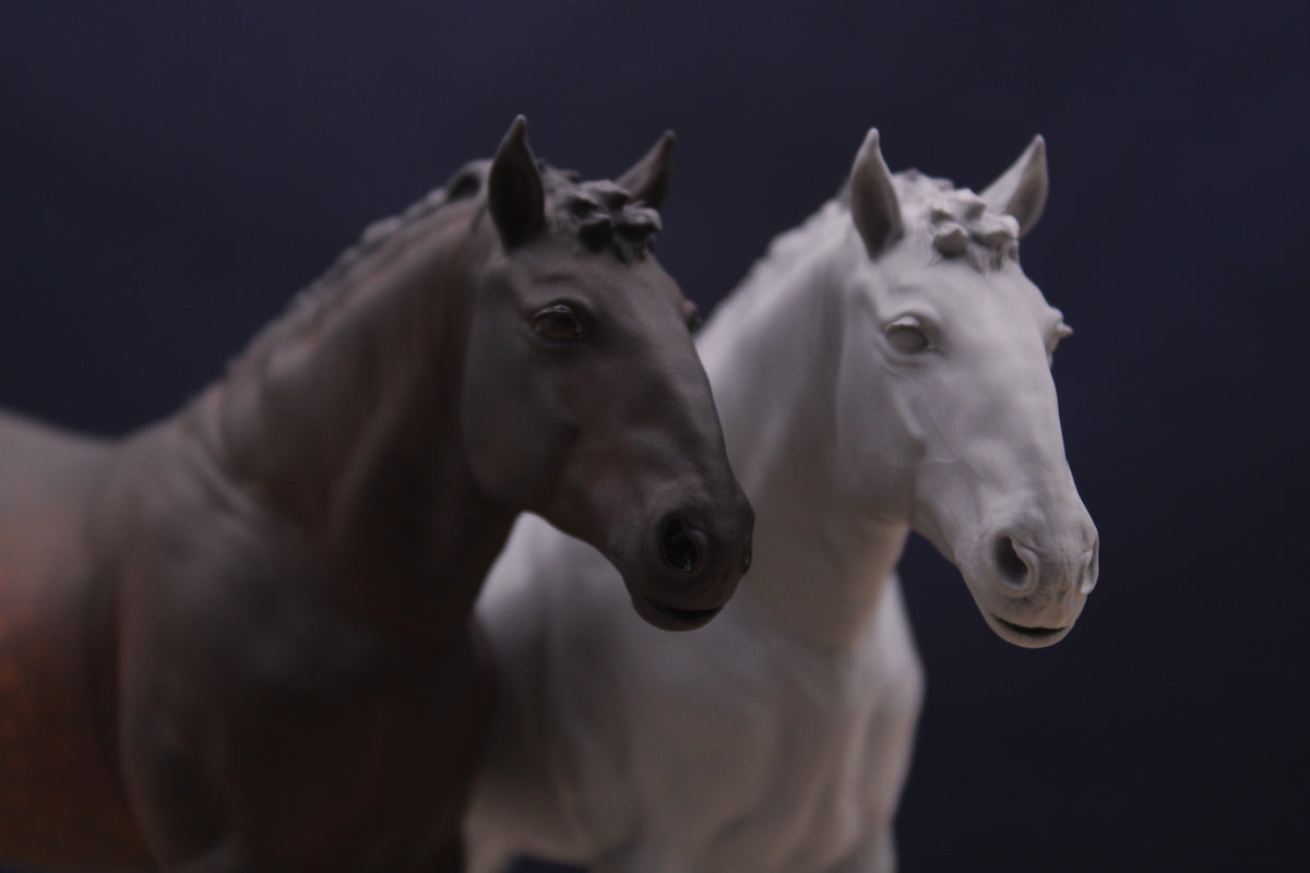 Bijou | Percheron Stute