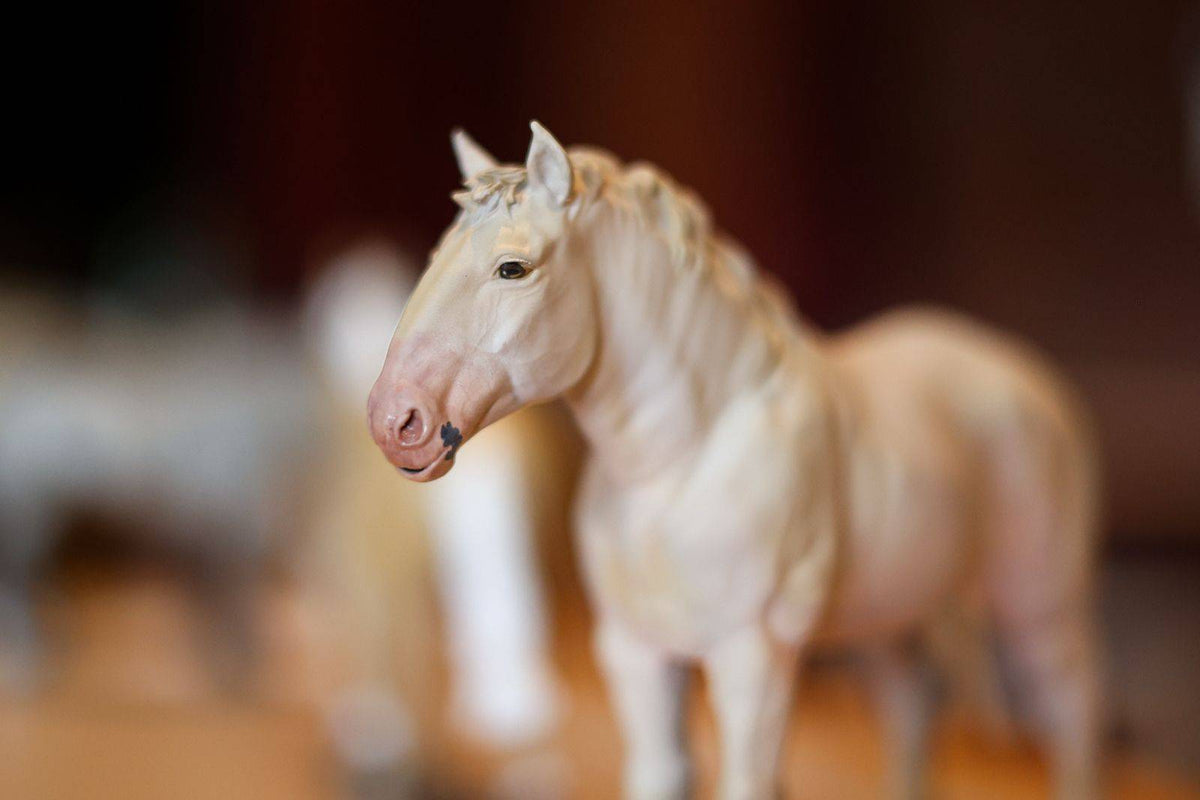 Bijou | Percheron Stute