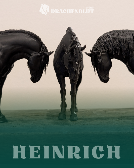 Heinrich | Kaltblut Hengst