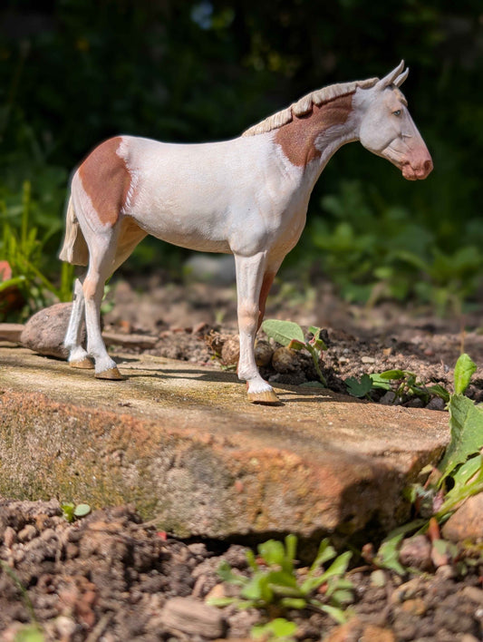 Gardon / Rotengle / Platke | Trakehner