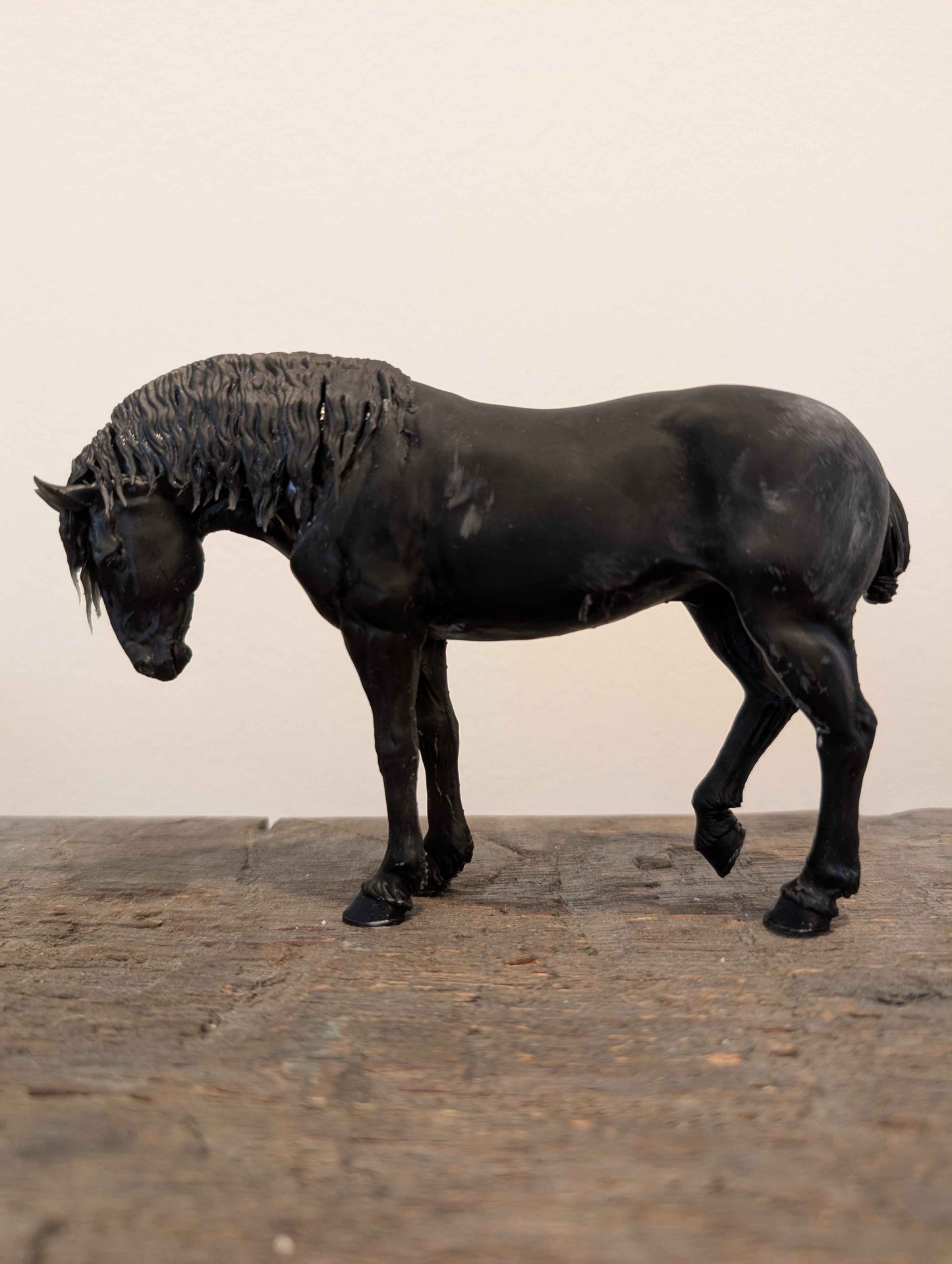 Heinrich | Kaltblut Hengst
