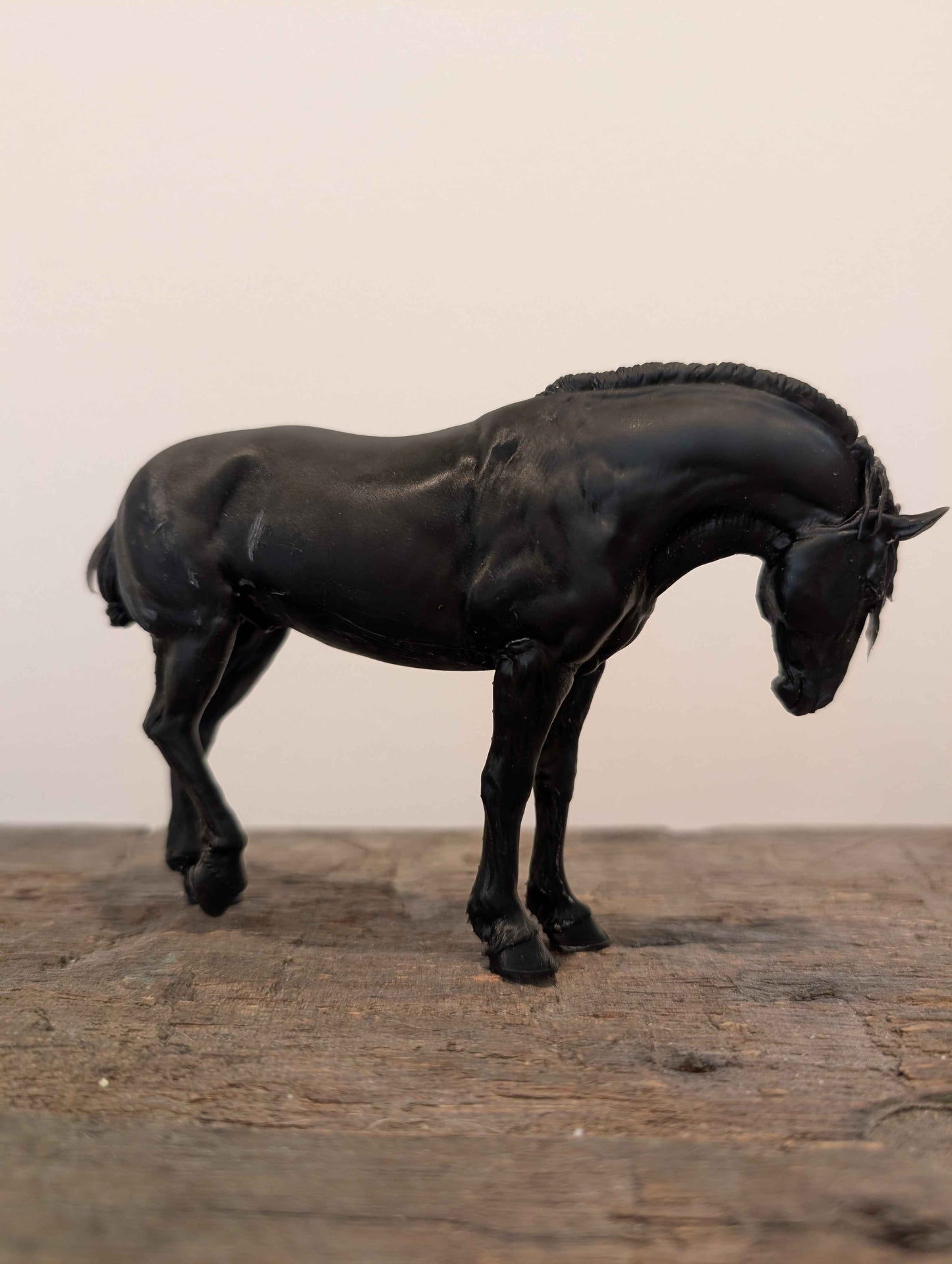 Heinrich | Kaltblut Hengst