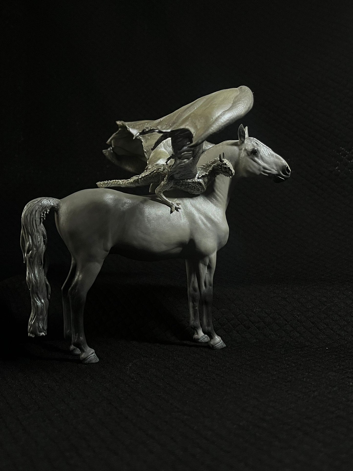 Silverwing | PRE Stute