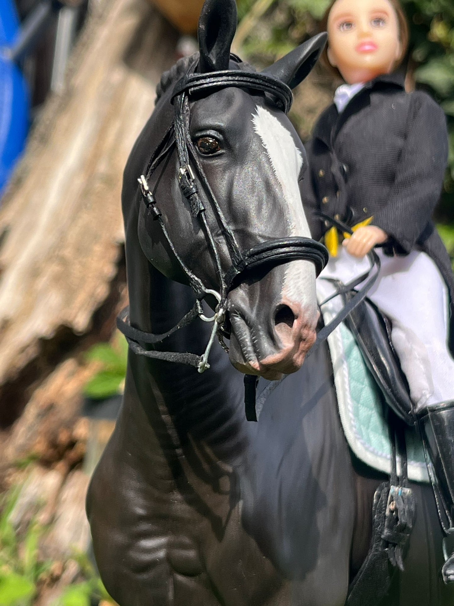 Balerion | PRE Hengst