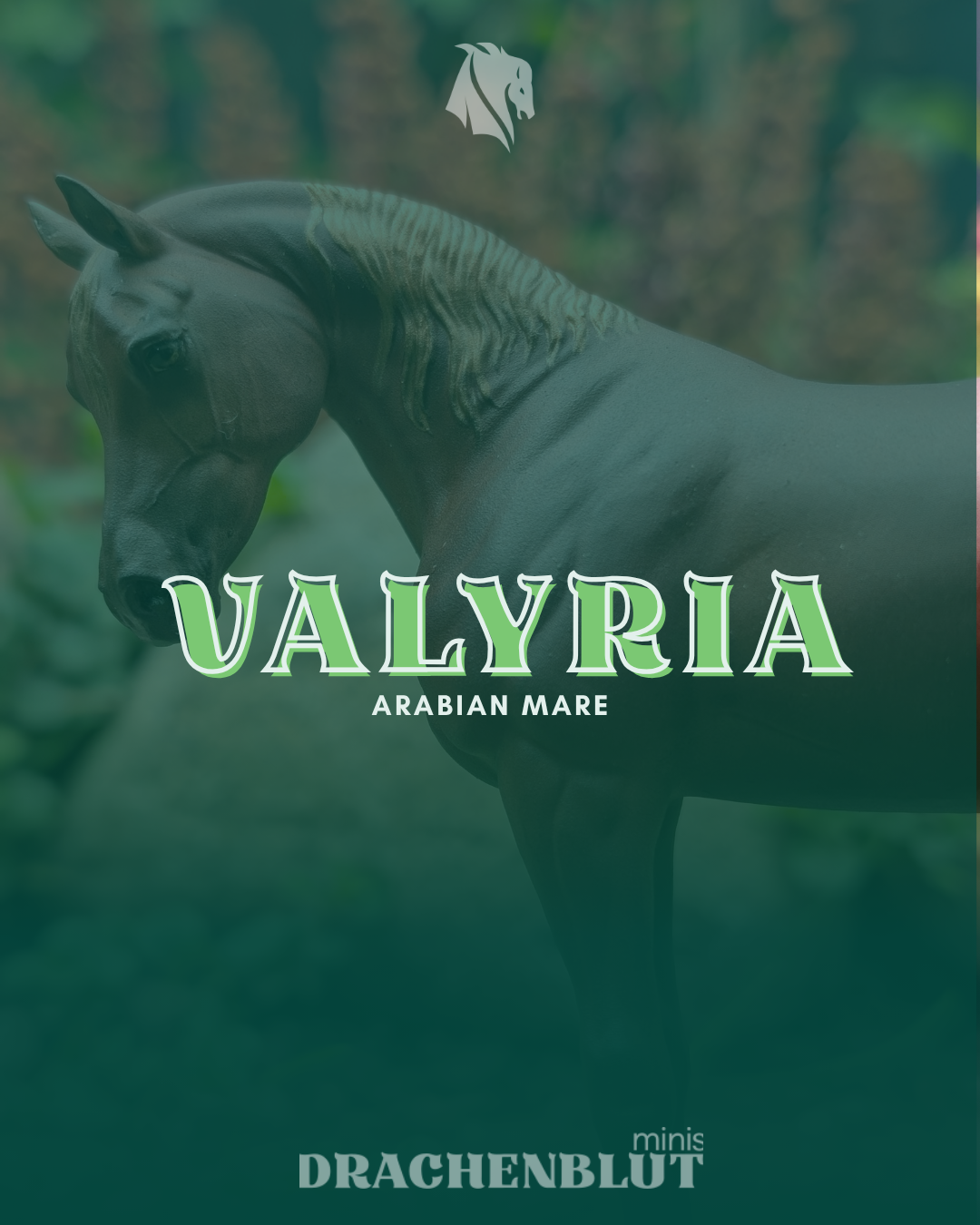 Valyria | Araber Stute