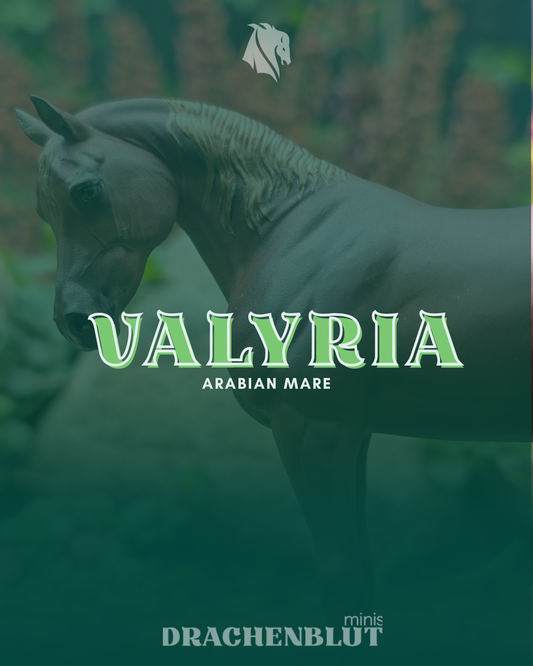 Valyria | Araber Stute