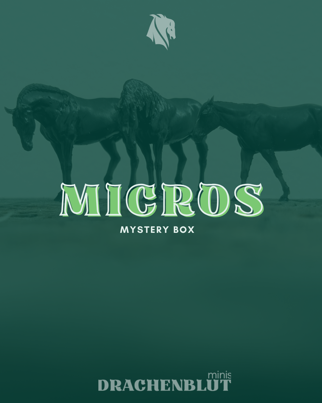 Micro MYSTERY BOX